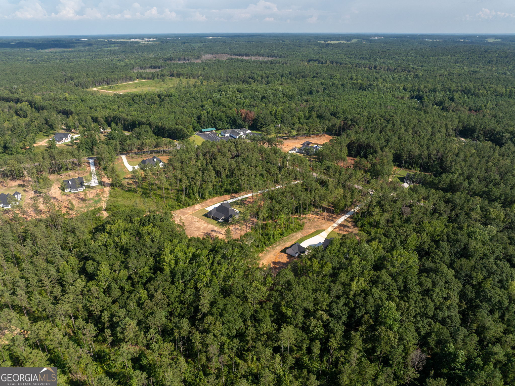 297 Bishop Road Meansville, GA 30256 - Photo 75 of 77