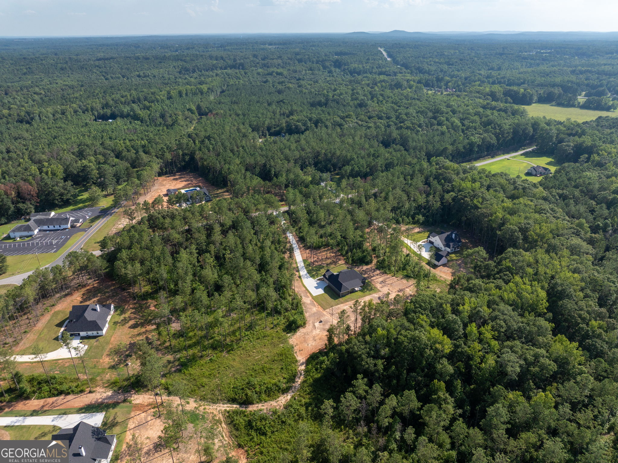 297 Bishop Road Meansville, GA 30256 - Photo 76 of 77 an aerial view of forest