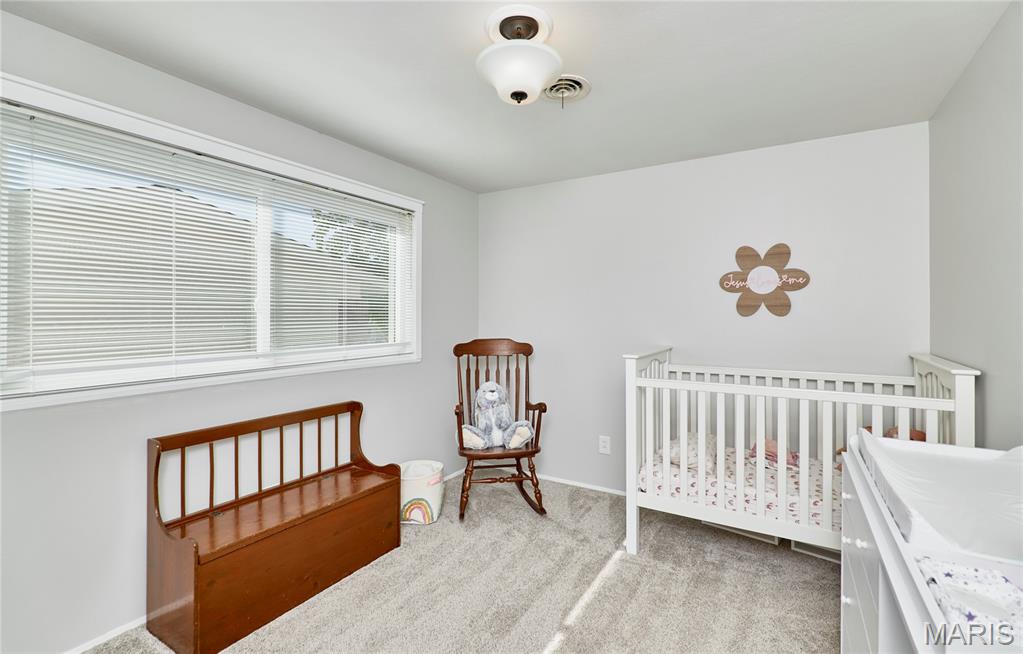 103 Calico Lane Ballwin, MO 63011 - Photo 24 of 37