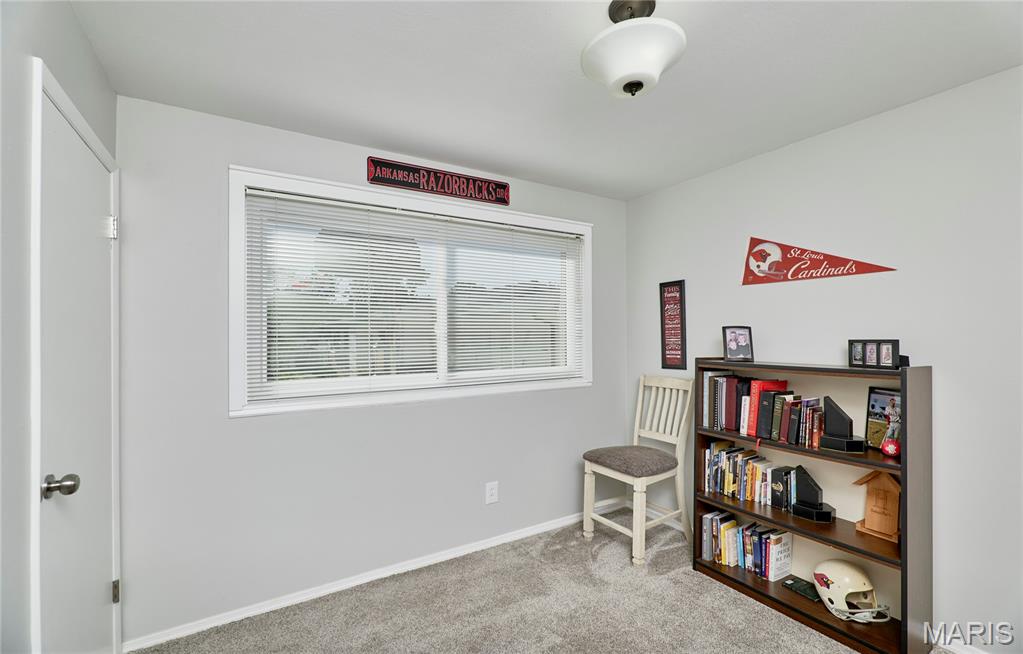 103 Calico Lane Ballwin, MO 63011 - Photo 29 of 37