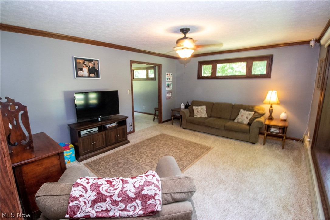5480 Lockwood Road Madison, OH 44057 - Photo 4 of 30 Living room off the foyer
