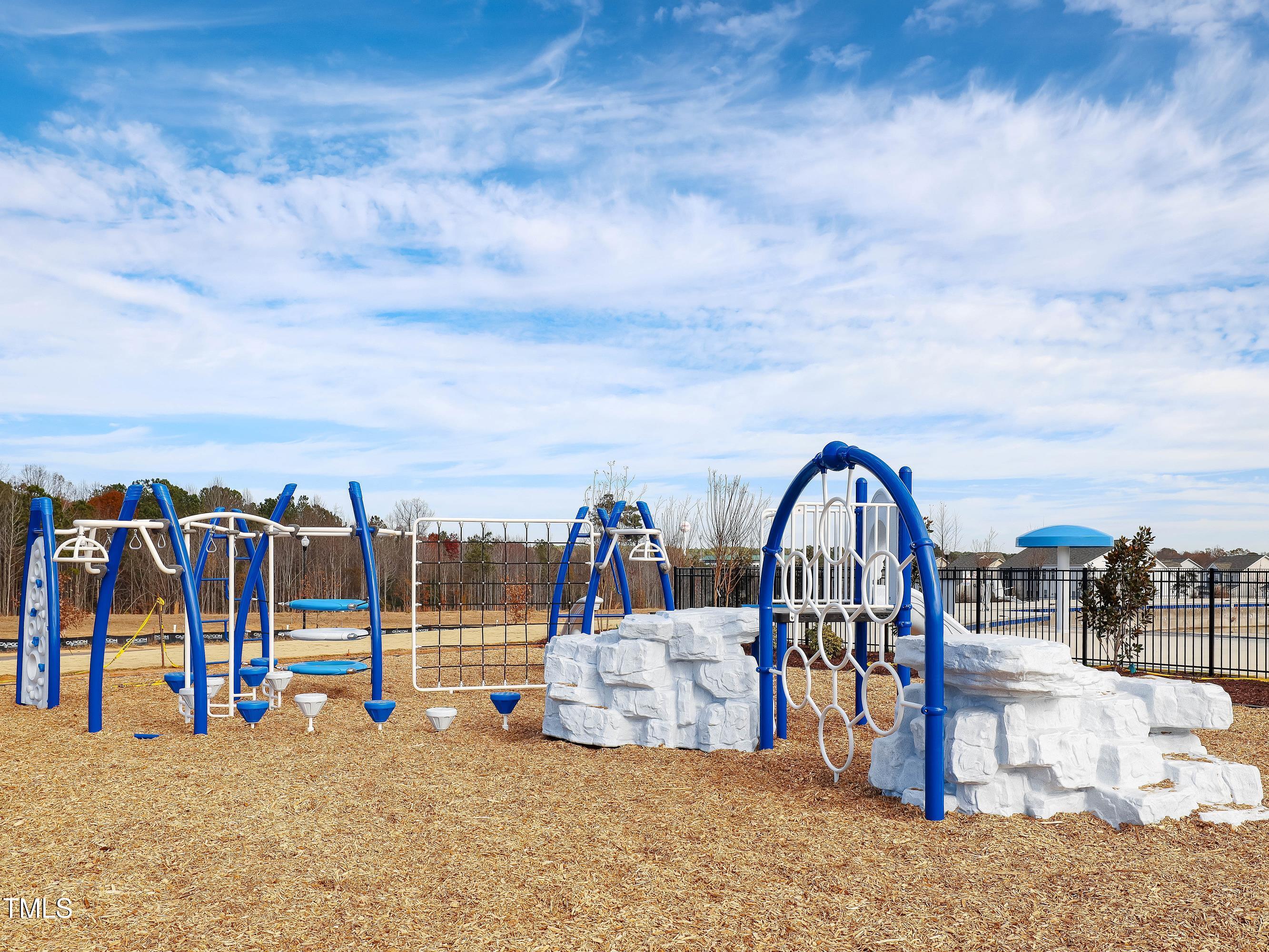 964 Channel Drop Loop Zebulon, NC 27597 - Photo 29 of 30 a view of a park with swings