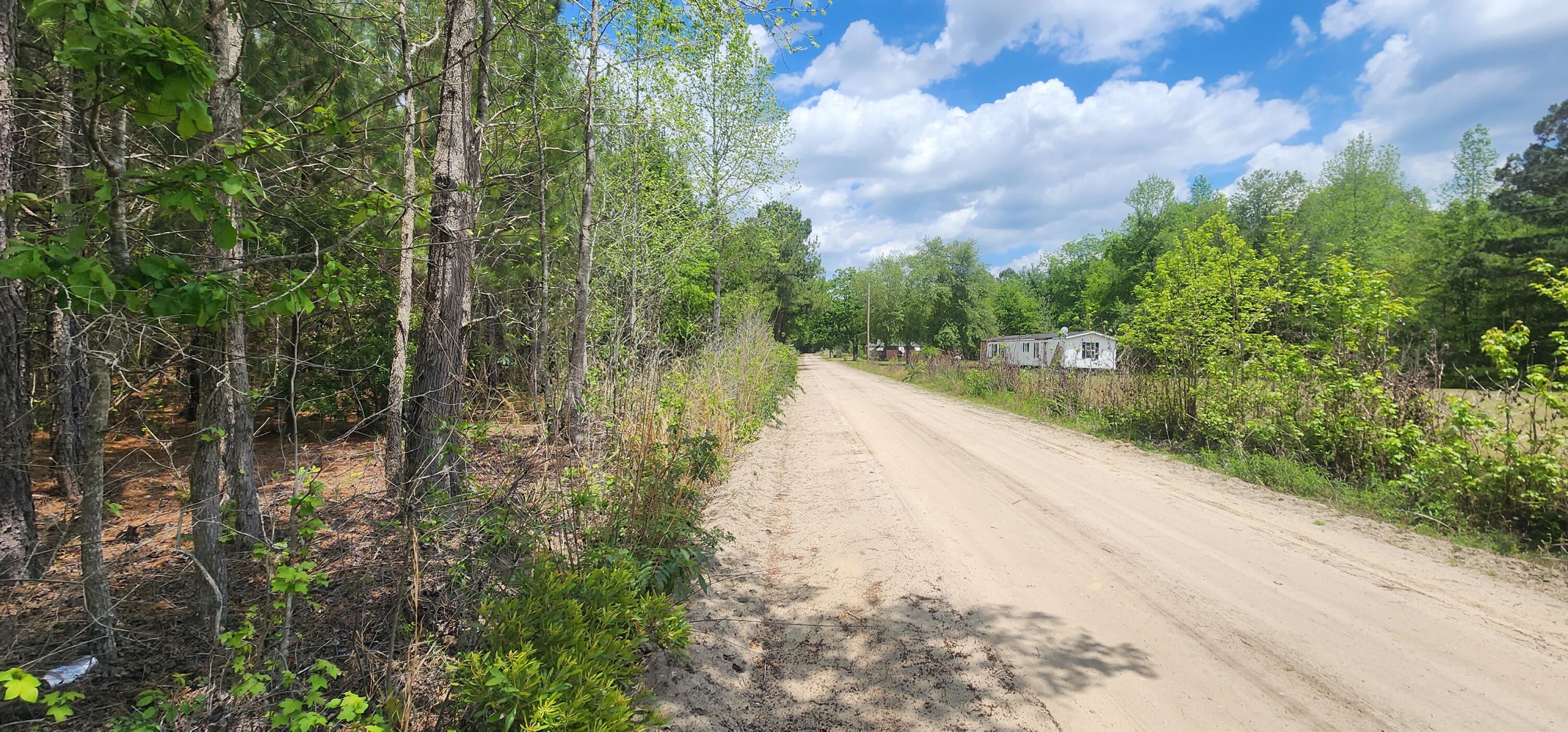 1 Lost Horn Road Reevesville, SC 29471 - Photo 10 of 11 20230516_140340