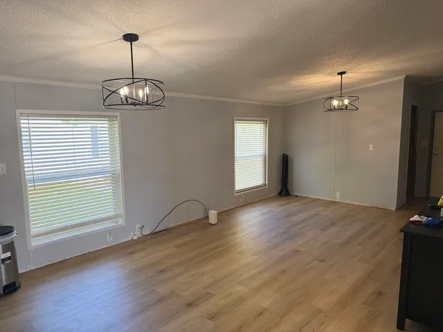 a view of a backyard with potted plants and a ceiling fan