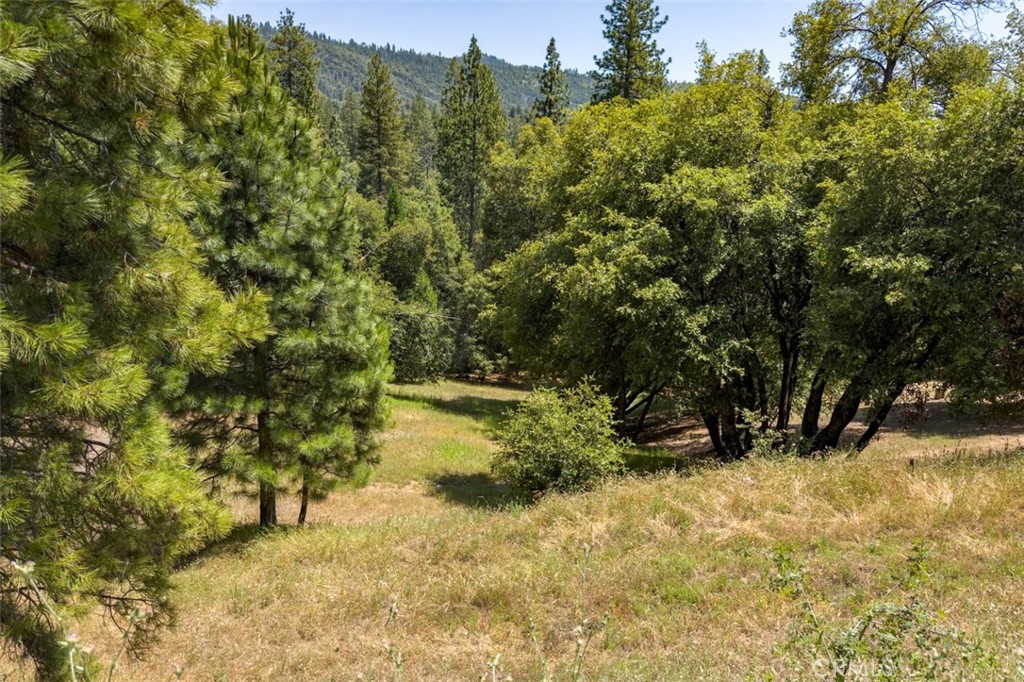 2397 Parmabelle Road Mariposa, CA 95338 - Photo 5 of 34 a view of lake view