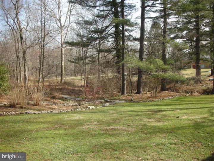 30 Reeder Avenue Lawrenceville, NJ 08648 - Photo 19 of 25 Back Yard