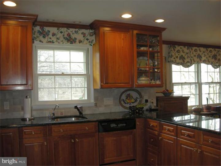 30 Reeder Avenue Lawrenceville, NJ 08648 - Photo 3 of 25 Kitchen