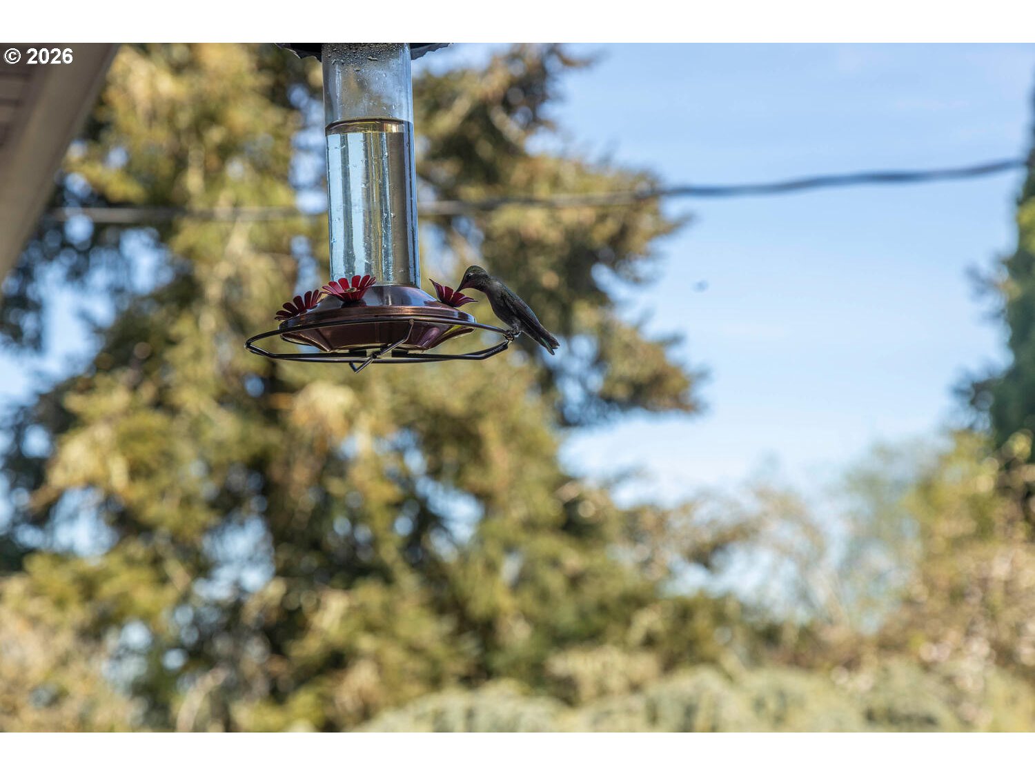 5491 Southeast Telegraph Road Amity, OR 97101 - Photo 27 of 34
