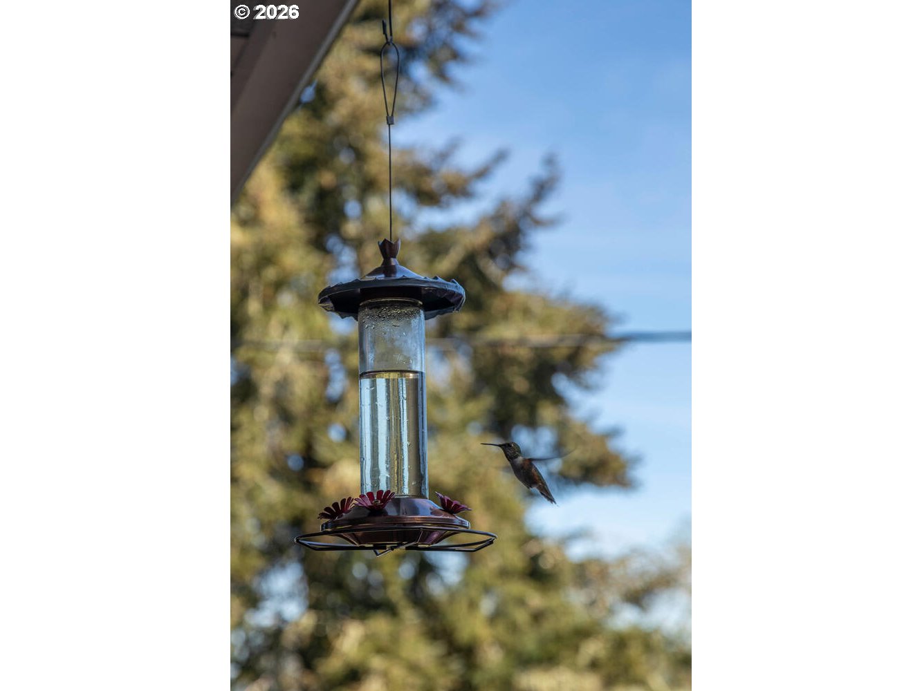 5491 Southeast Telegraph Road Amity, OR 97101 - Photo 28 of 34