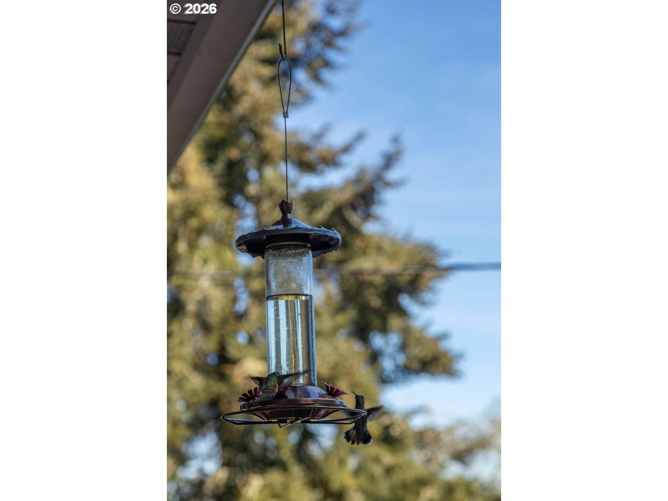 5491 Southeast Telegraph Road Amity, OR 97101 - Photo 29 of 34