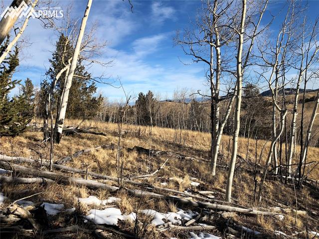 Tbd Long Gulch Road Hartsel, CO 80449 - Photo 4 of 27 Nice mix of aspen and pine.