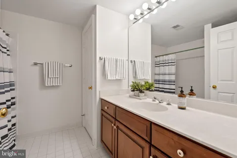 a view of a yard with plants and large trees