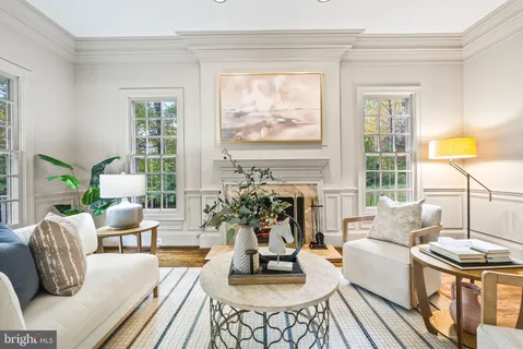 a living room with furniture a fireplace and a potted plant