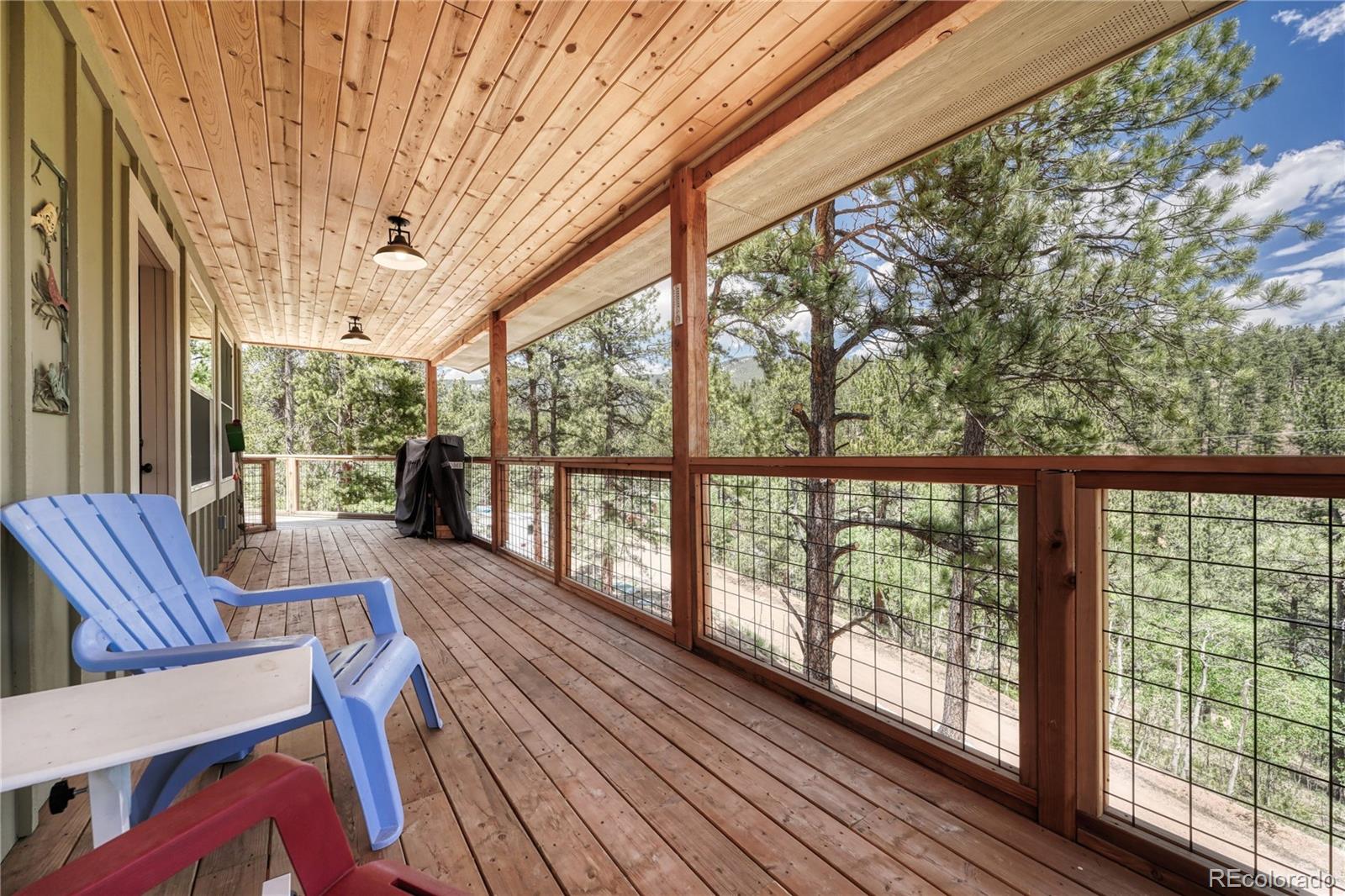 133 Brown Road Bailey, CO 80421 - Photo 28 of 35
