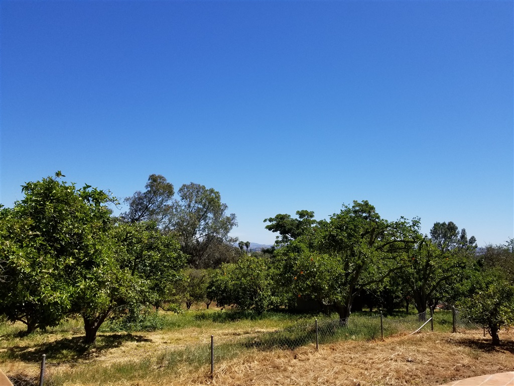 1524 Dickey Street Fallbrook, CA 92028 - Photo 7 of 11 Gallery Image 7