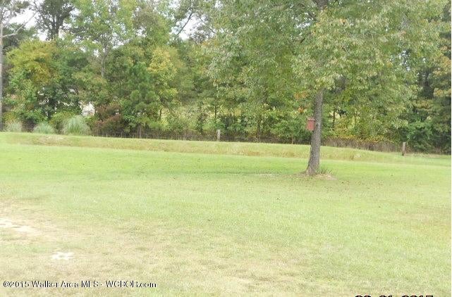 948 Anderson Road Jasper, AL 35503 - Photo 13 of 22 Gallery Image 13