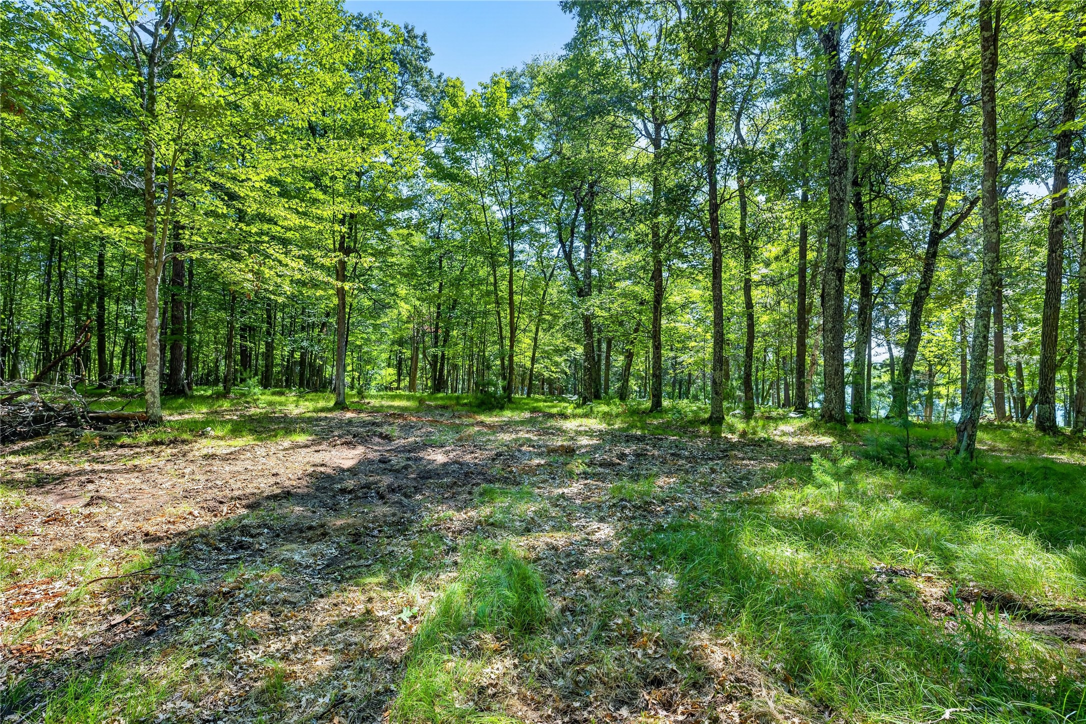 51260 Birch Lake Road Barnes, WI 54873 - Photo 15 of 24 Gallery Image 15