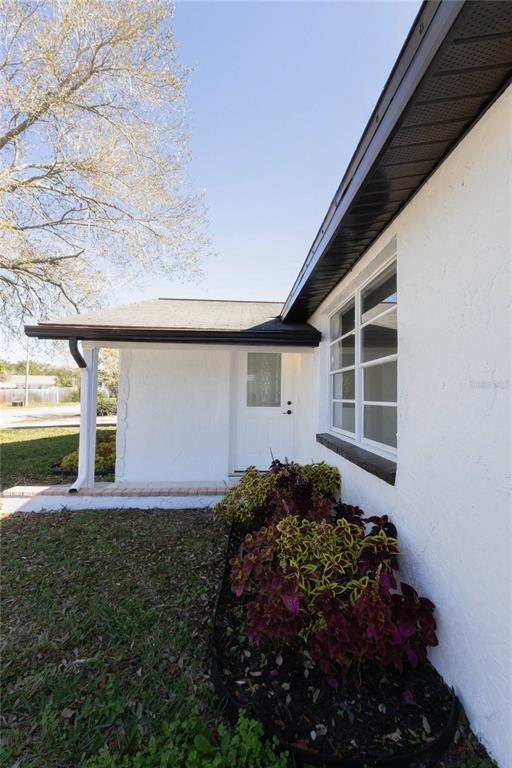 6340 Westport Drive Port Richey, FL 34668 - Photo 4 of 51 a backyard of a house with lots of green space
