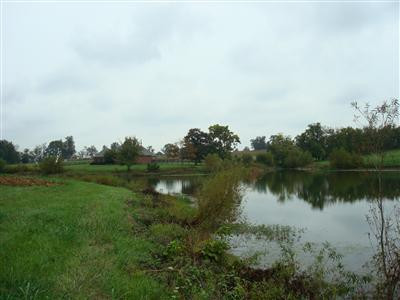 4130 Mt Sterling Road Winchester, KY 40391 - Photo 13 of 19 Photo 13