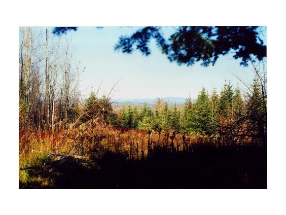 8 Mudget Mountain Road Stewartstown, NH 03576 - Photo 1 of 1