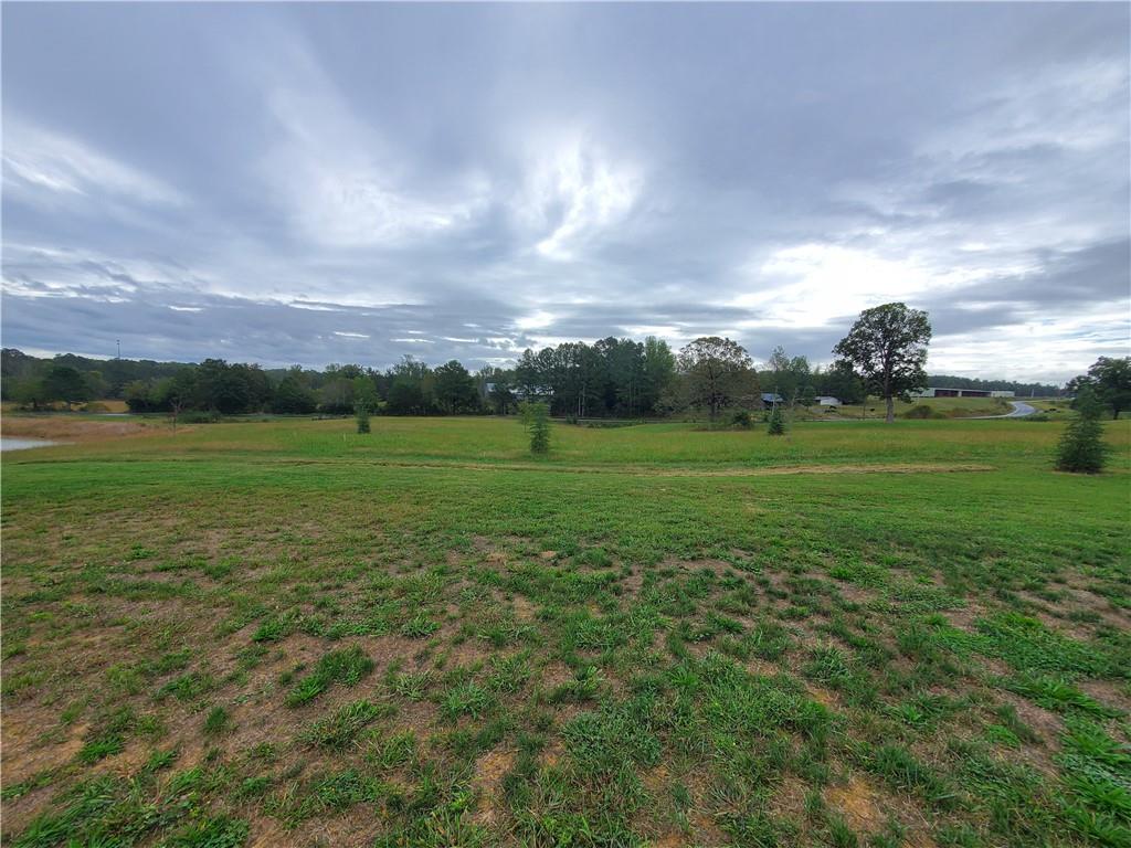 876 Cline Road Resaca, GA 30735 - Photo 49 of 78 a view of a green field