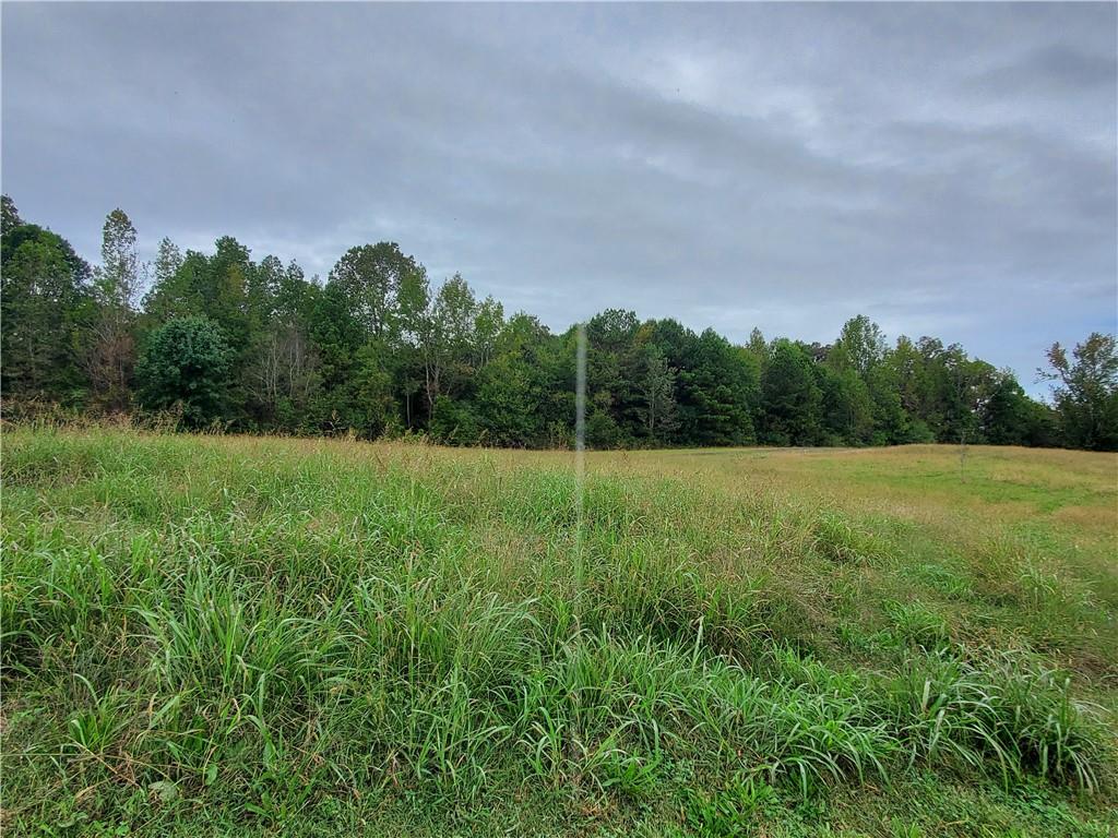 876 Cline Road Resaca, GA 30735 - Photo 64 of 78 a view of a green field with wooden fence
