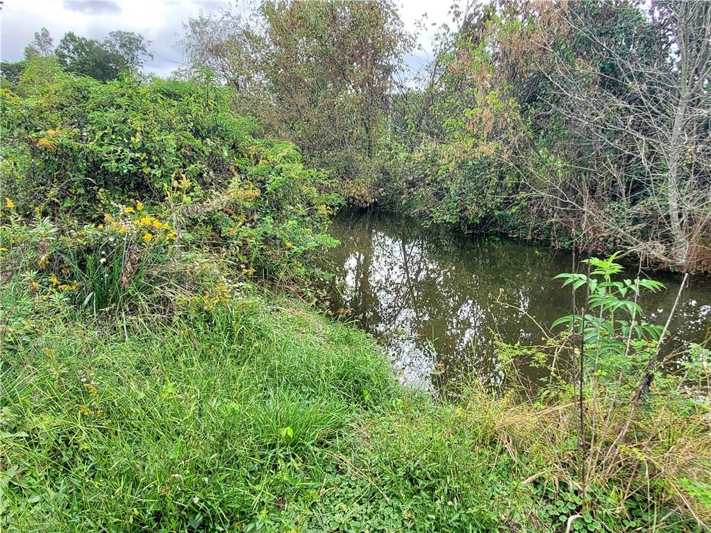 876 Cline Road Resaca, GA 30735 - Photo 74 of 78 a view of a garden with a lake