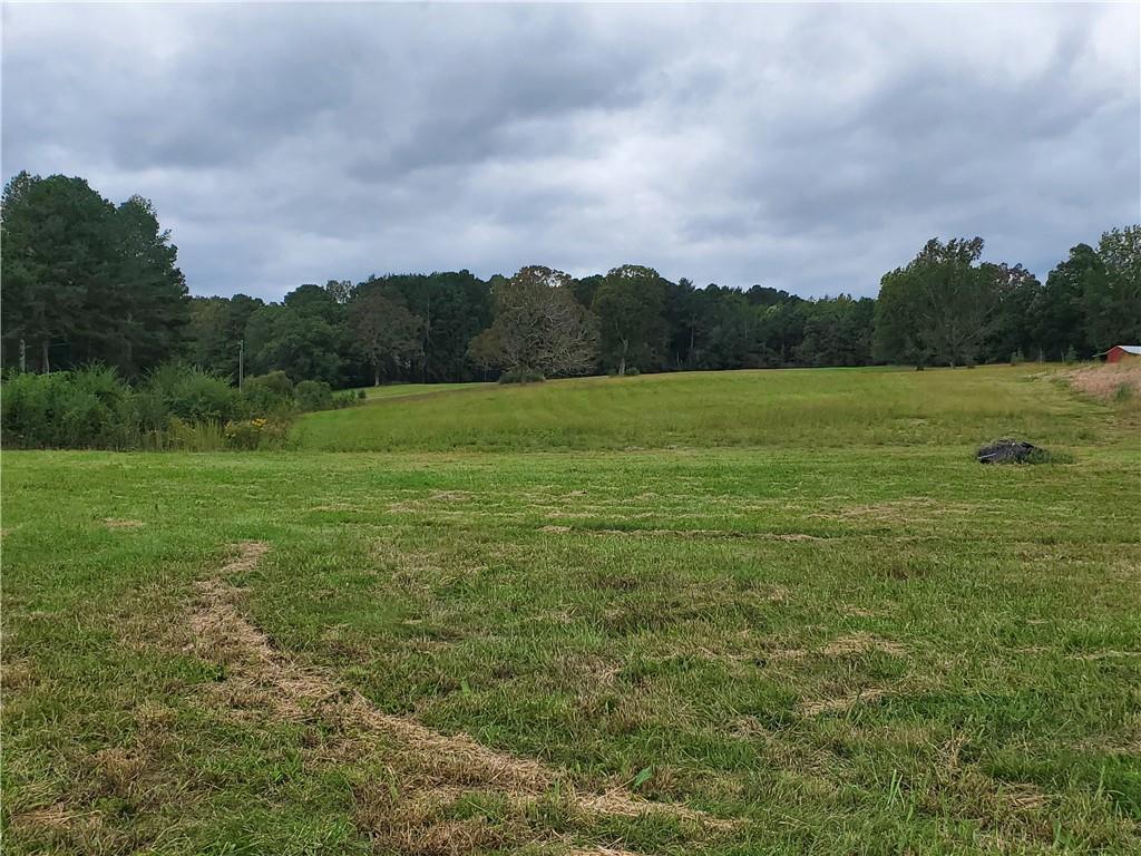 876 Cline Road Resaca, GA 30735 - Photo 75 of 78 a view of an outdoor space and a yard