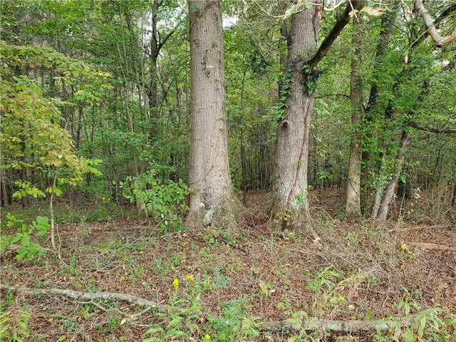 $1,600,000 | 876 Cline Road, Resaca, GA 30735