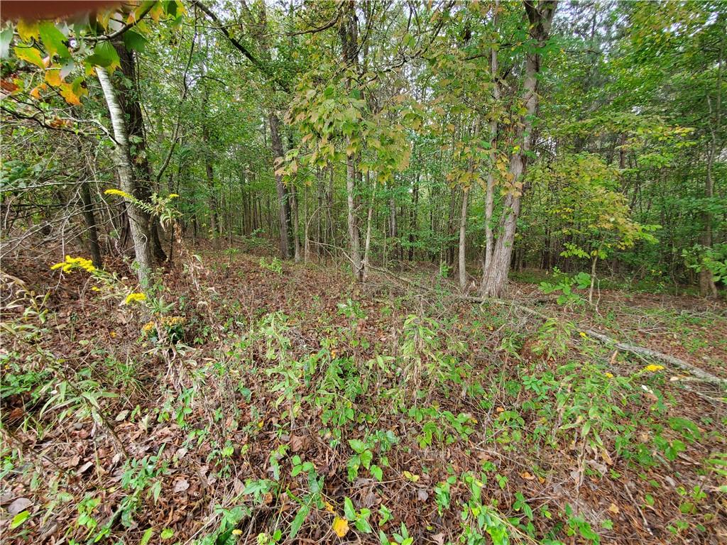 876 Cline Road Resaca, GA 30735 - Photo 77 of 78 a view of outdoor space and green space