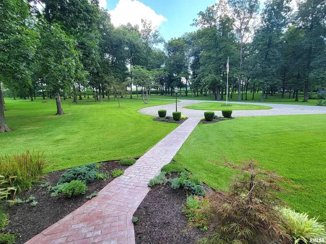 a view of a garden with a bench