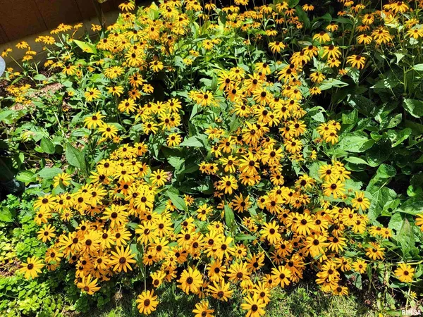 $399,000 | 2753 North Stanford Road, Flora, IL 62839