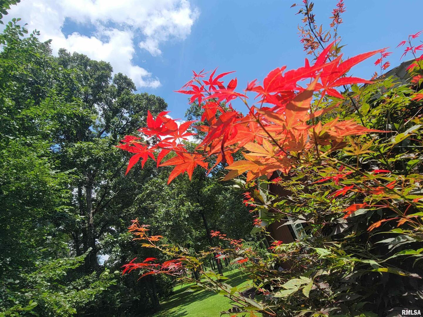 2753 North Stanford Road Flora, IL 62839 - Photo 86 of 99