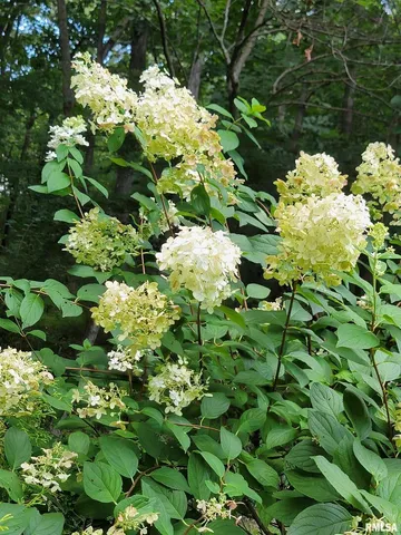 $449,000 | 2753 North Stanford Road, Flora, IL 62839