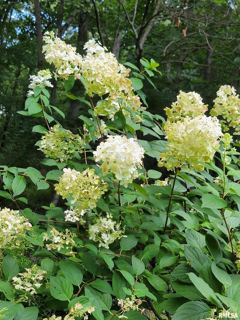 2753 North Stanford Road Flora, IL 62839 - Photo 88 of 99