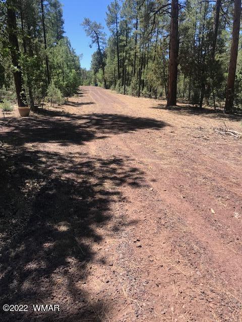 Tbd Rim Spur Lakeside, AZ 85929 - Photo 2 of 6 Gallery Image 2