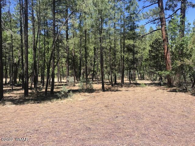 Tbd Rim Spur Lakeside, AZ 85929 - Photo 3 of 6 Gallery Image 3