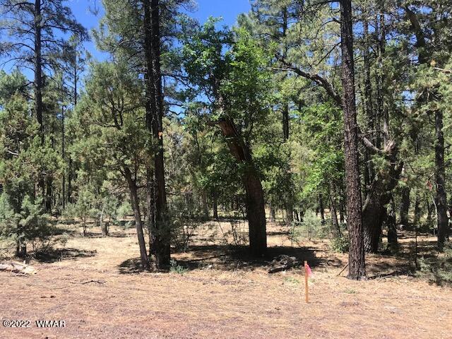 Tbd Rim Spur Lakeside, AZ 85929 - Photo 4 of 6 Gallery Image 4