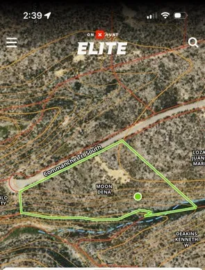 a vase of flowers sitting on a table