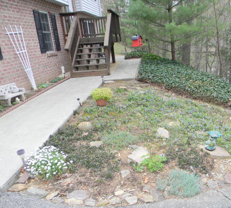 3116 McVitty Road Roanoke, VA 24018 - Photo 30 of 36 Front Landscaping