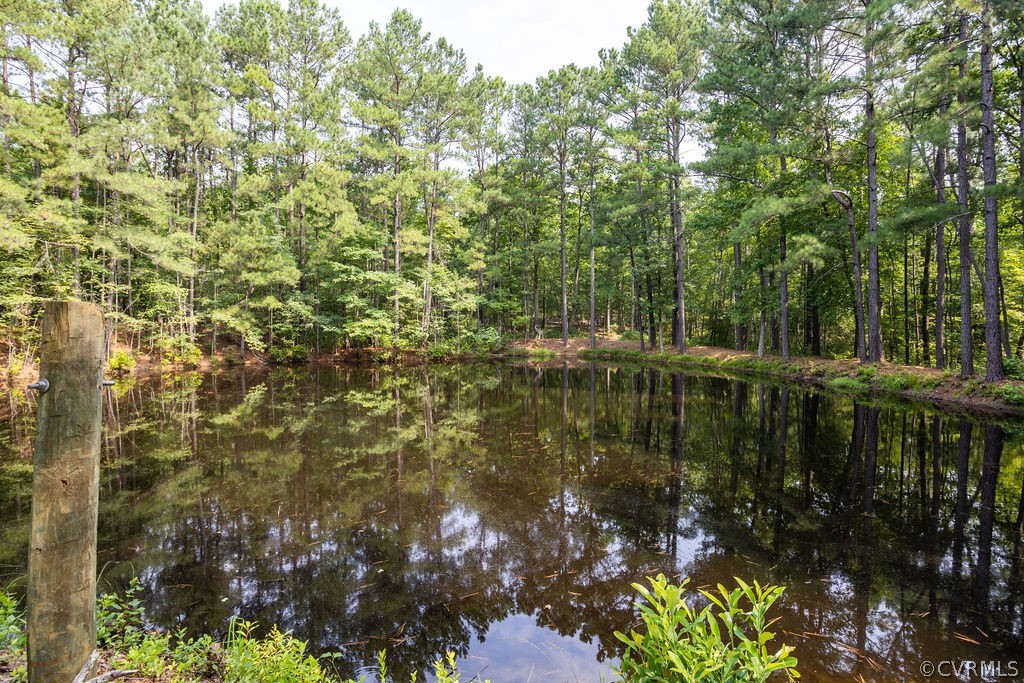 10206 Hickory Road Chesterfield, VA 23803 - Photo 25 of 32