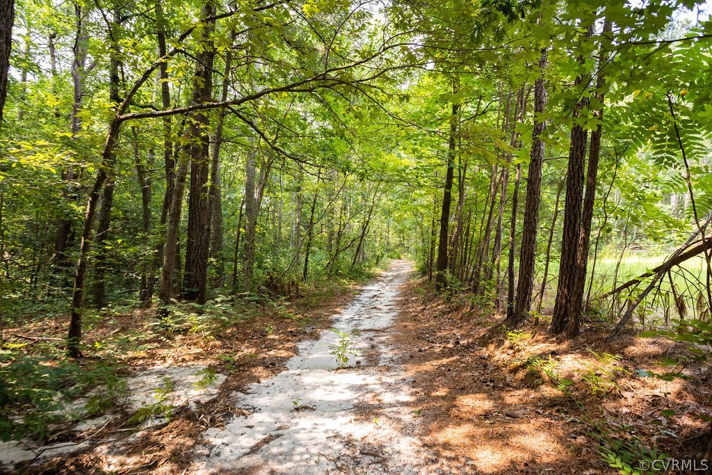 10206 Hickory Road Chesterfield, VA 23803 - Photo 27 of 32