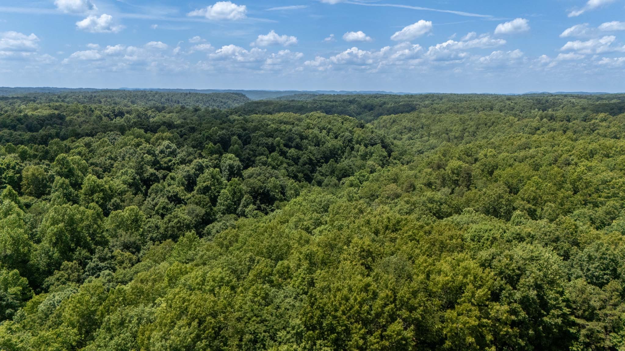 3772 Pea Ridge Road Liberty, TN 37095 - Photo 31 of 52