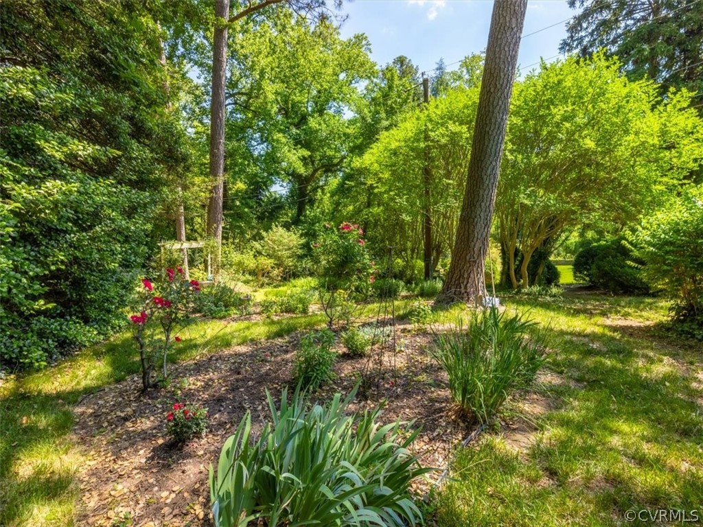 4610 Butte Road Richmond, VA 23235 - Photo 36 of 48 a view of a yard with plants and large trees