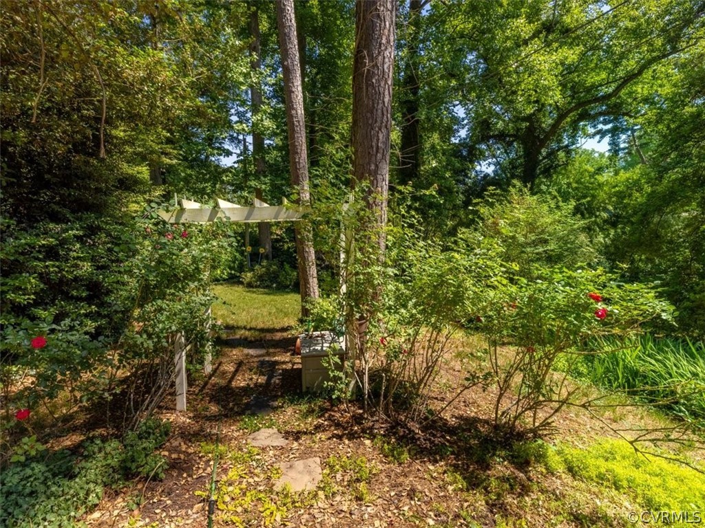 4610 Butte Road Richmond, VA 23235 - Photo 37 of 48 a view of a yard with plants and large trees