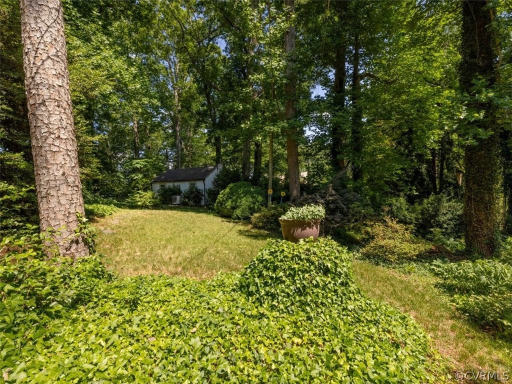 4610 Butte Road Richmond, VA 23235 - Photo 39 of 48 a view of a yard with plants and large trees