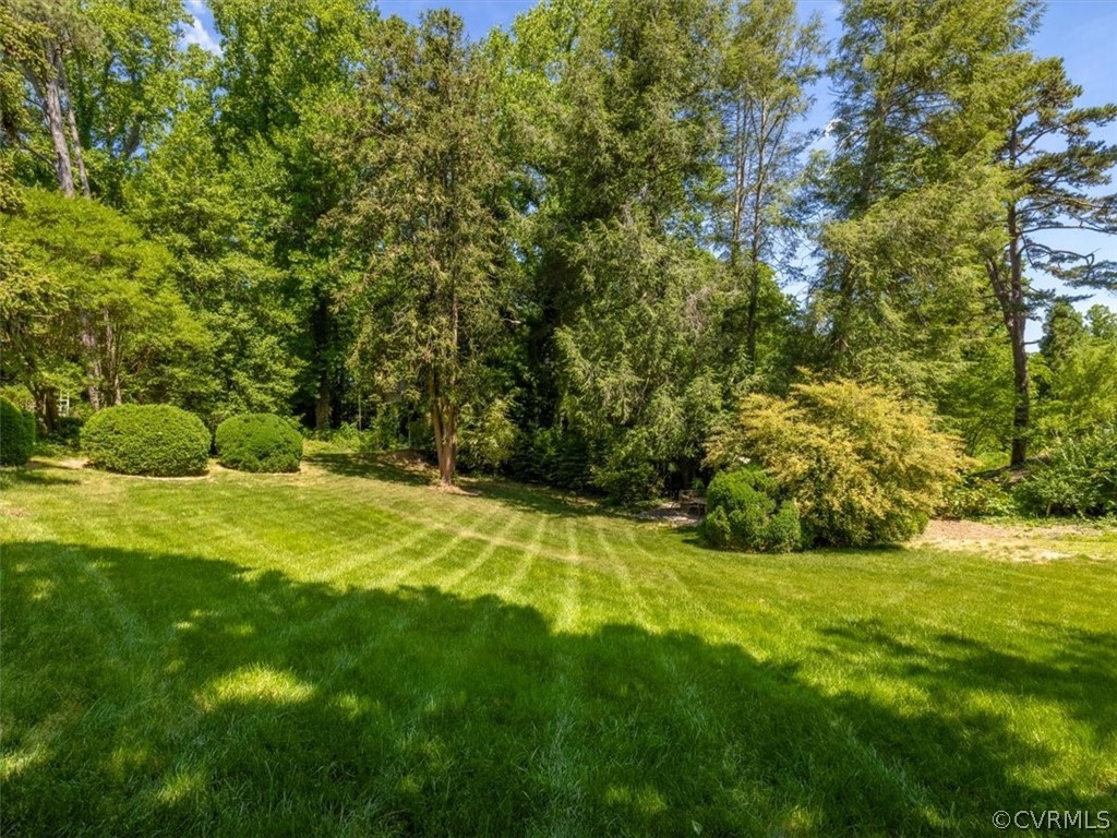 4610 Butte Road Richmond, VA 23235 - Photo 42 of 48 a view of a yard with a trees