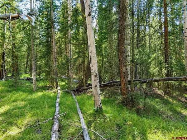 $40,000 | 445 Aspen Trail, Cimarron, CO 81220