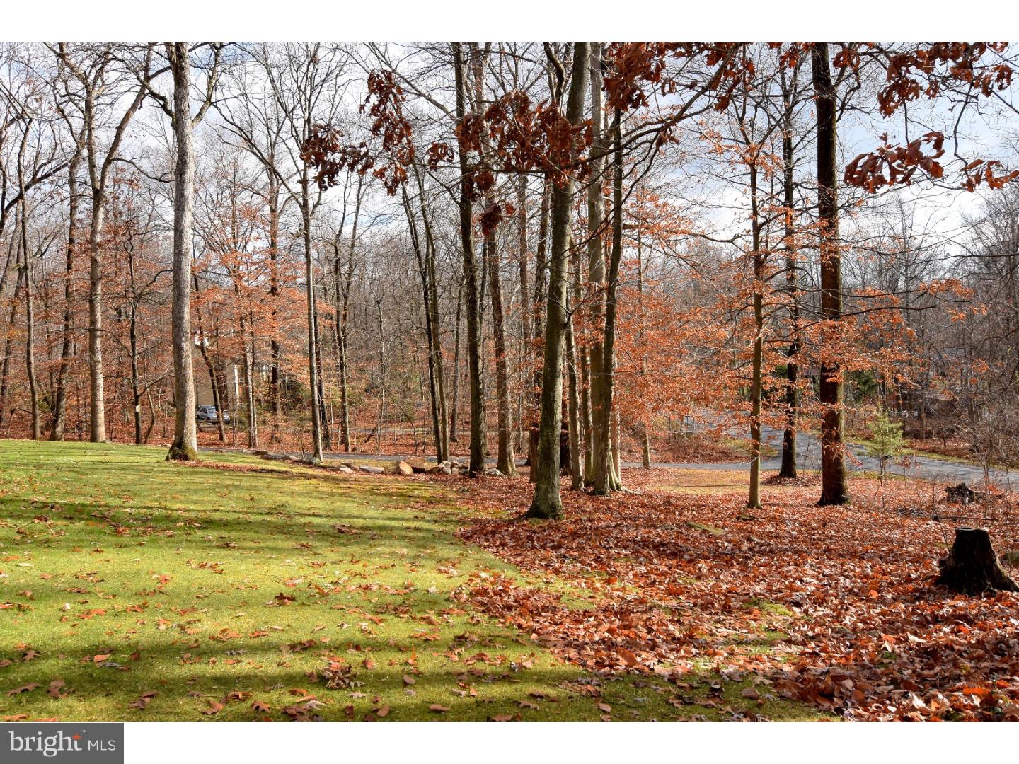 81 Overlook Road Morgantown, PA 19543 - Photo 21 of 25 Front Yard