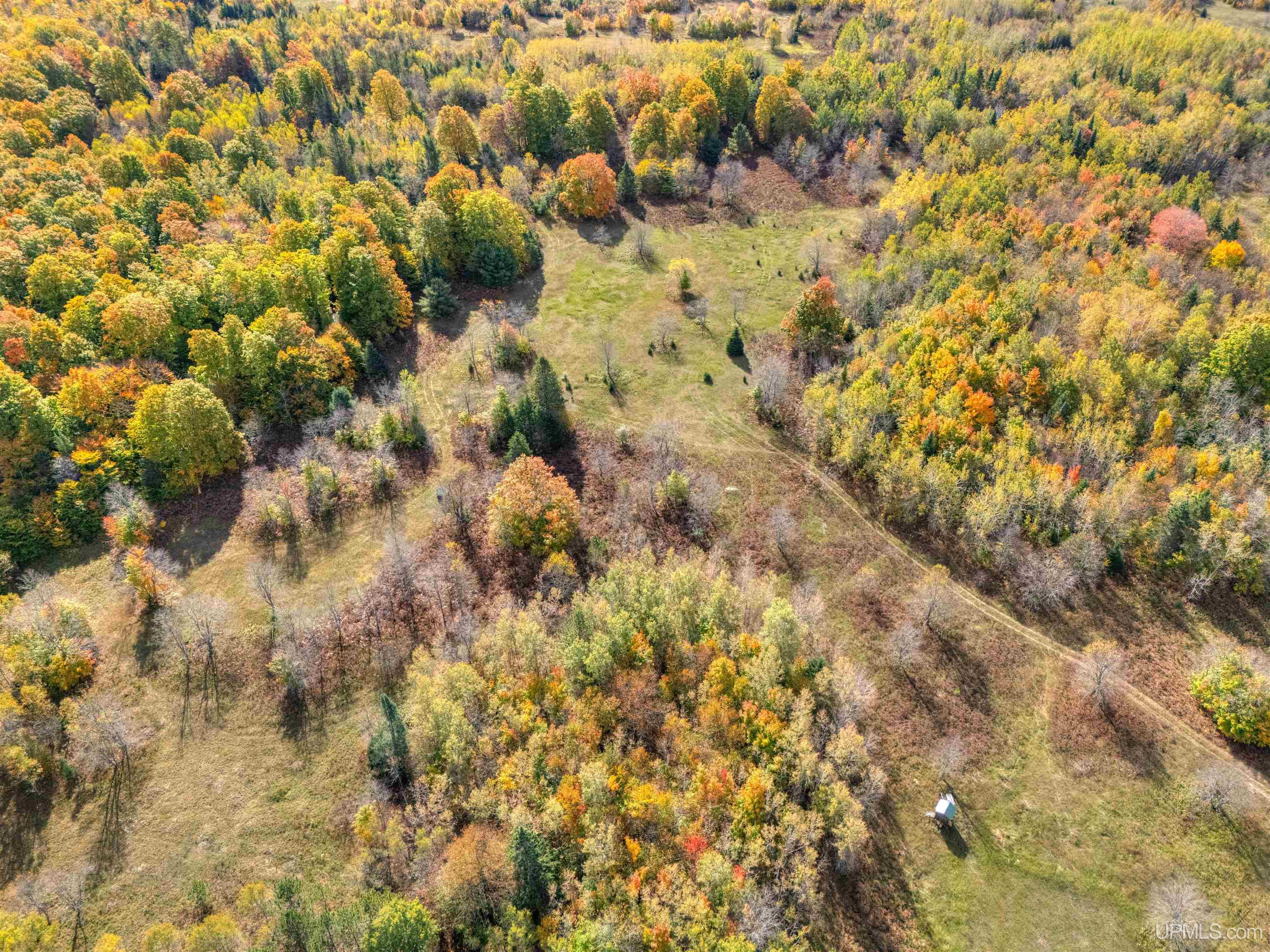 Tbd Ford Lake Road Germfask, MI 49836 - Photo 14 of 17 Gallery Image 14